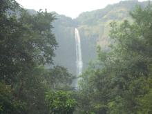 Fall from Upper Reservoir area of Humbarli PSS PG_1051.jpg