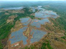 Full view of Plant.jpeg