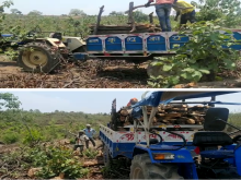 Transportation of felled trees.png